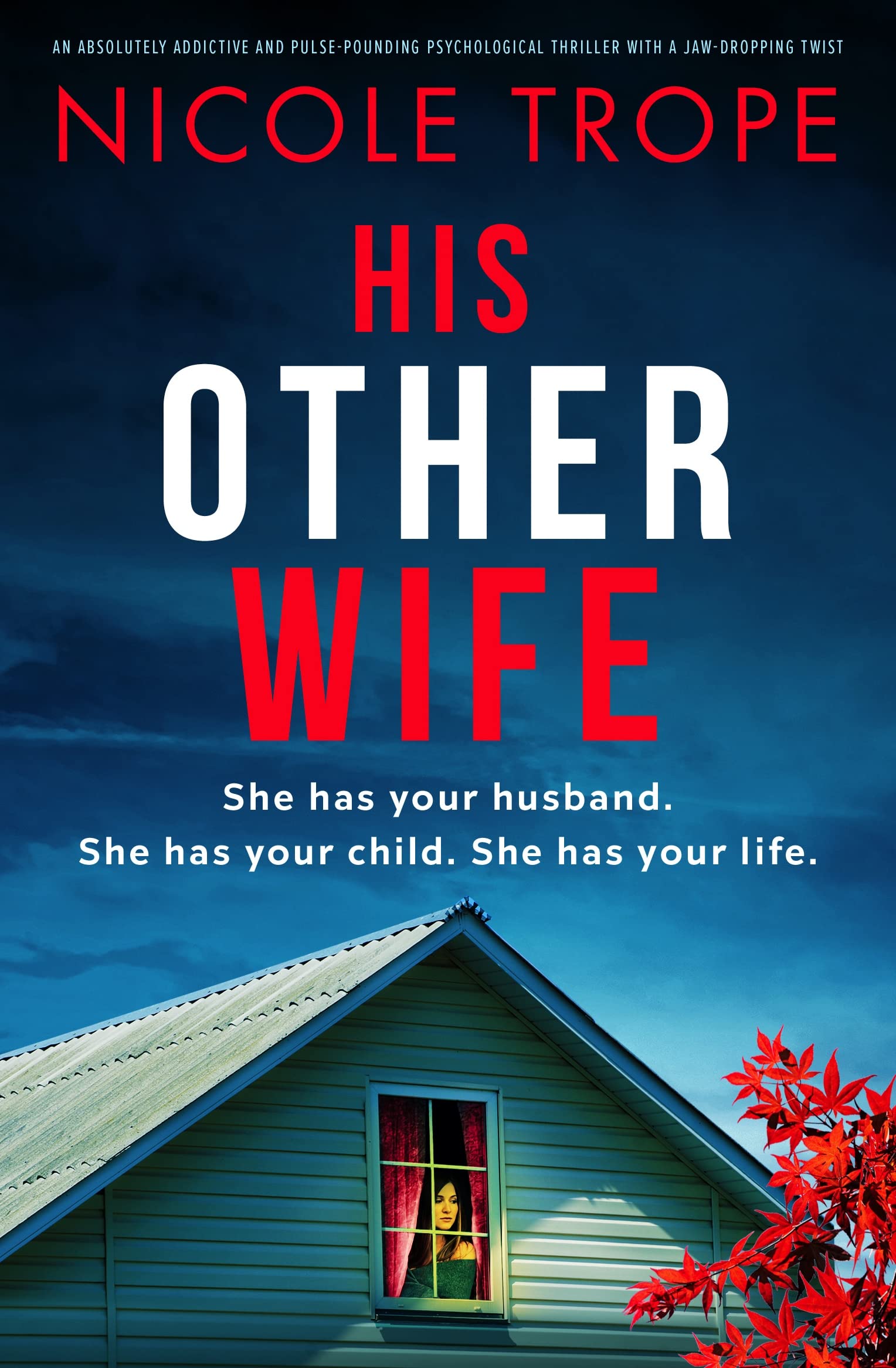 His Other Wife - by Nicole Trope (Paperback)